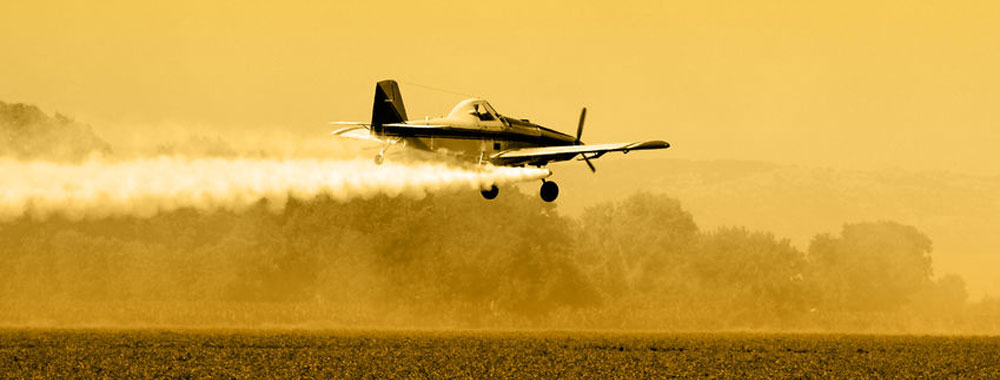 Asmark Homepage Image
