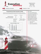 Lighthouse Executive Summary Lighthouse Executive Summary