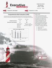 Lighthouse Executive Summary Lighthouse Executive Summary