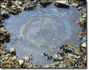 Oil Slick